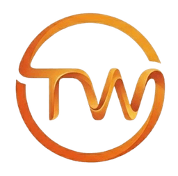 TheWCAG.com Logo